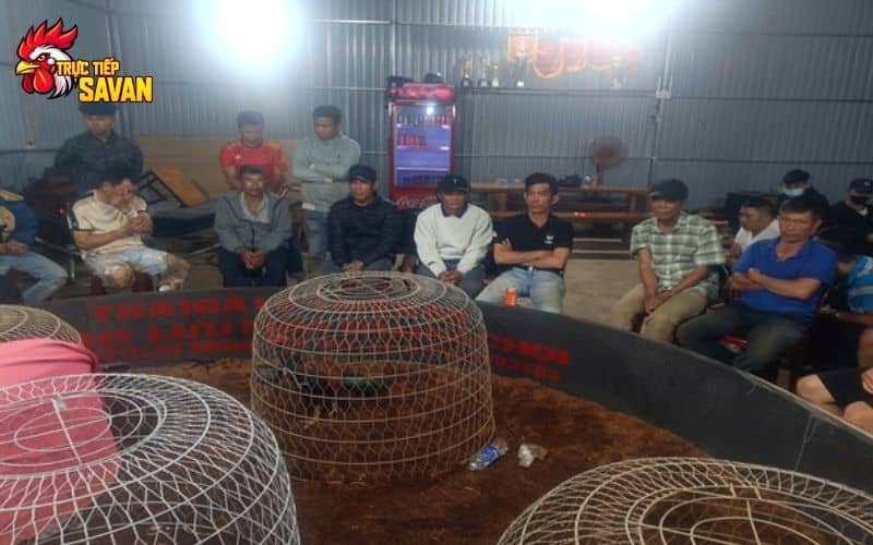 Hiện trường thu giữ 6 con gà đá và 130 triệu đồng Hiện trường thu giữ 6 con gà đá và 130 triệu đồng