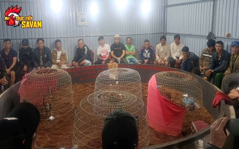 Hiện trường triệt phá tụ điểm đá gà ăn tiền Hiện trường triệt phá tụ điểm đá gà ăn tiền