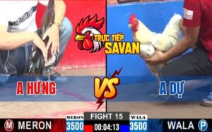 Trận 15 CPC2 Ngày 05/03/2025 - Gà Anh Dự Hạ Gà Anh Hưng Té Hết Sửa