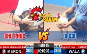 Trận 15 CPC3 Ngày 16/03/2025 - Gà Chú Phúc Đá Như Búa Bổ Hạ Gà Anh Cao