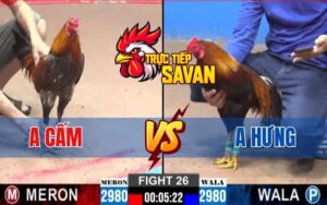 Trận 26 CPC2 Ngày 05/03/2025 - Gà Anh Cấm Đá 3 Chân Hạ Gà Anh Hưng