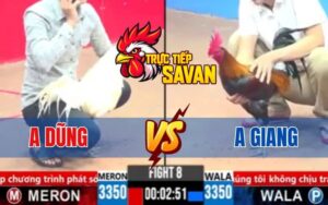 Trận 8 CPC3 Ngày 15/03/2025 - Anh Dũng Có Chân Phản Khiến Anh Giang Thua Ngược