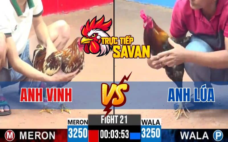 Trận 21 CPC3 Ngày 22/04/2025 – Anh Vinh Và Anh Lúa Sài Gòn